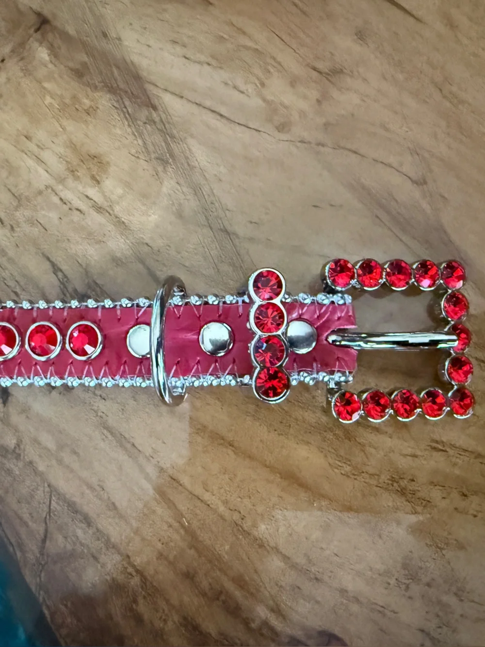 B.B. Simon Red Crystal Buckle and Strap Dog Collar